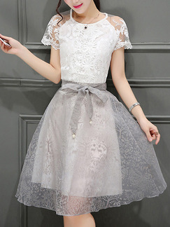 Grey Knee Length Lace Dress